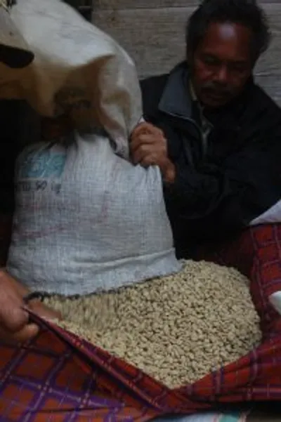 Sulawesi