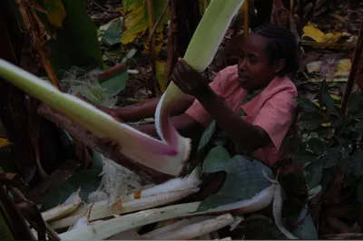 Ethiopia