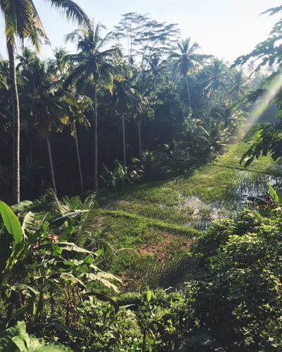 Bali