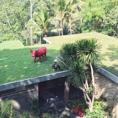 Bali
