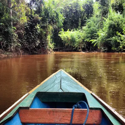 Borneo