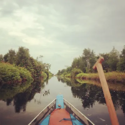 Borneo