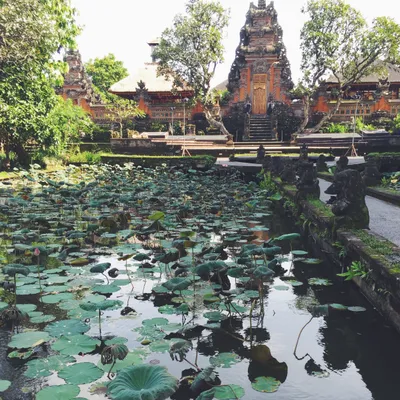Bali